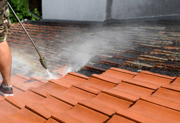 Best Residential Pressure Washing Services  in Nevada, TX