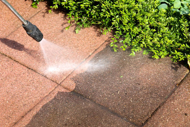 Fence Pressure Washing in Nevada, TX